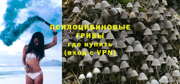 apvp Волосово