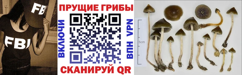Псилоцибиновые грибы ЛСД  Купить  Нижняя Салда 